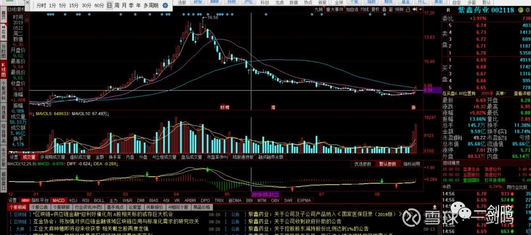 揭秘热门股票300615，投资新宠还是潜力股？