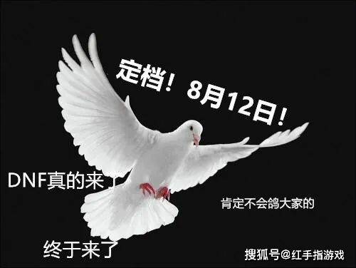 游鸽网南江最新动态更新