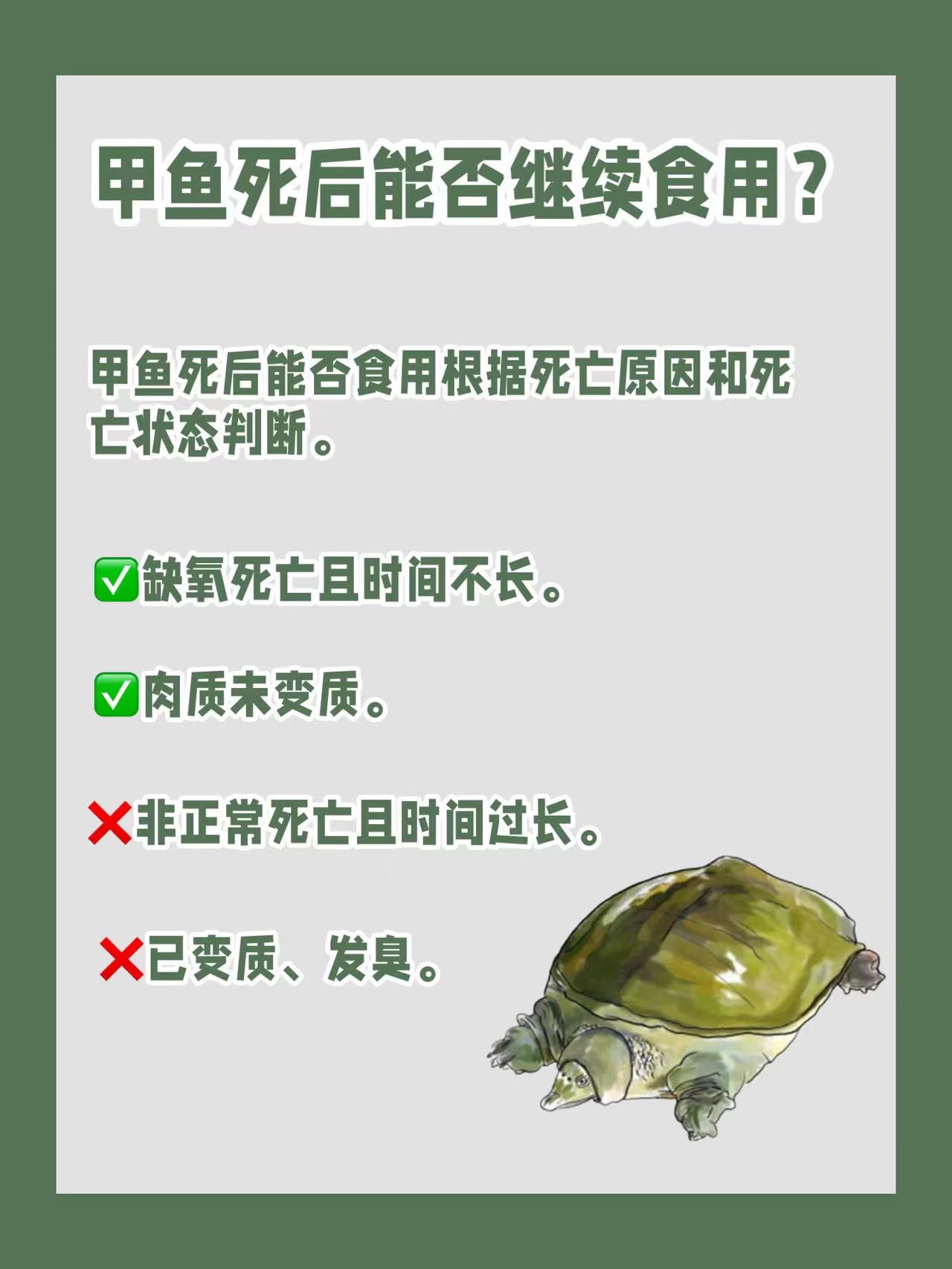 甲鱼禁食最新动态，深刻变革引发生态平衡与道德伦理的思考