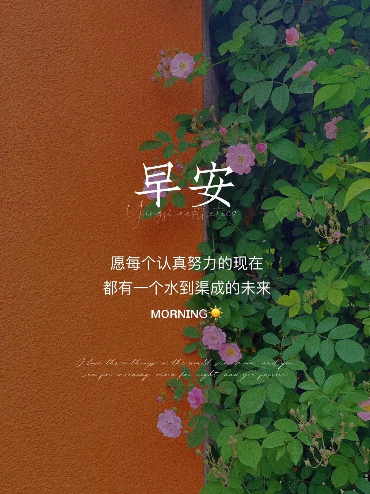最新温馨祝福语，愿美好与你同在🌸