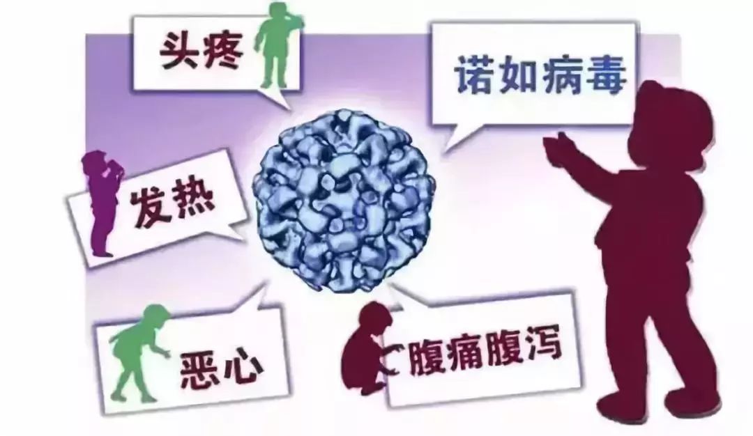 疫情之下寻找自然美景之旅，内心平静与喜悦的追寻