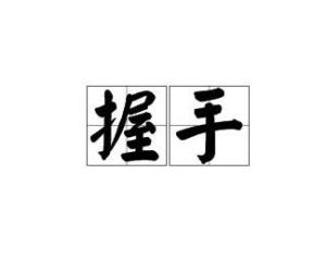 全新社交礼仪揭秘，握手最新词汇解锁🤝