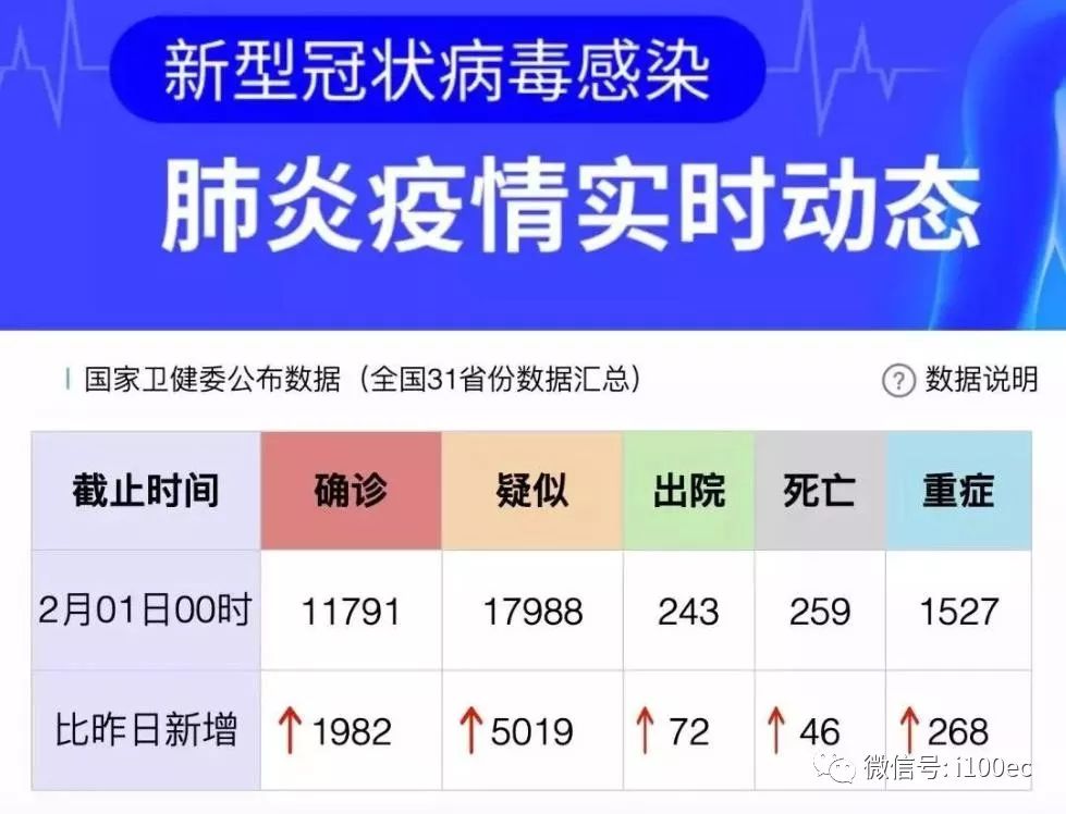 疫情最新动态与应对策略，加减之间的共同关注📈💪