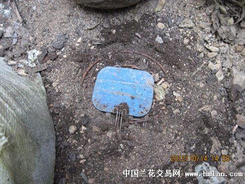 高科技埋地雷产品重塑现实，前沿科技体验的魅力
