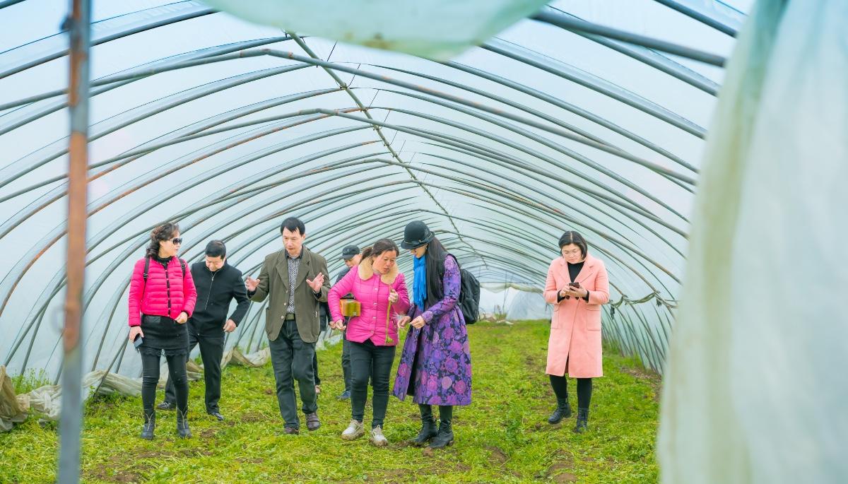 最新调研网站开启智慧之旅，拥抱变化，自信闪耀瞬间
